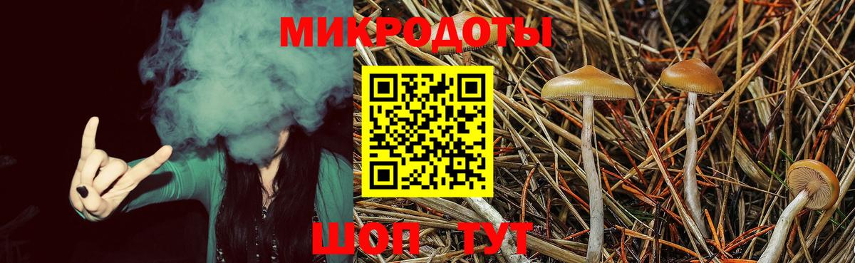 Тимашёвск  Галлюциногенные грибы мицелий  Вход с VPN 